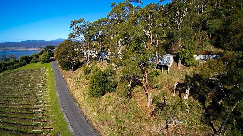 בית מלון כפרי Rosevears Vinyard