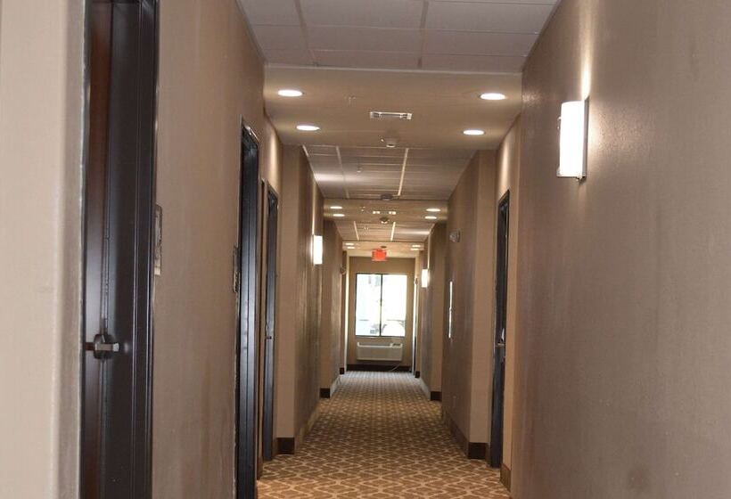 هتل Wingate By Wyndham College Station Tx