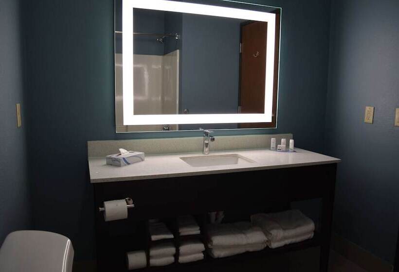 هتل Wingate By Wyndham College Station Tx