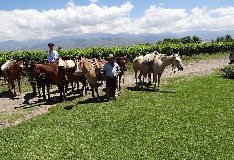 استراحتگاه Club Tapiz