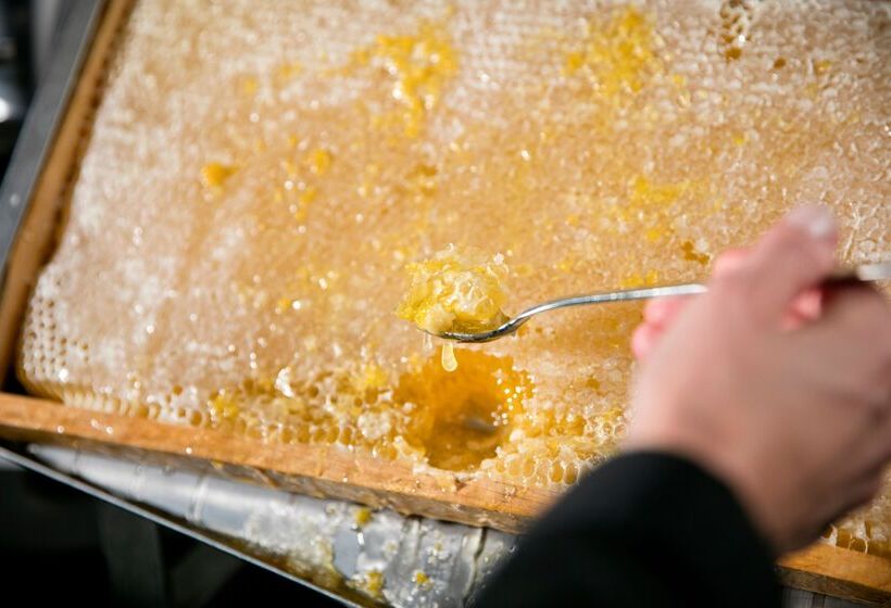 Arcotel Rubin Hamburg