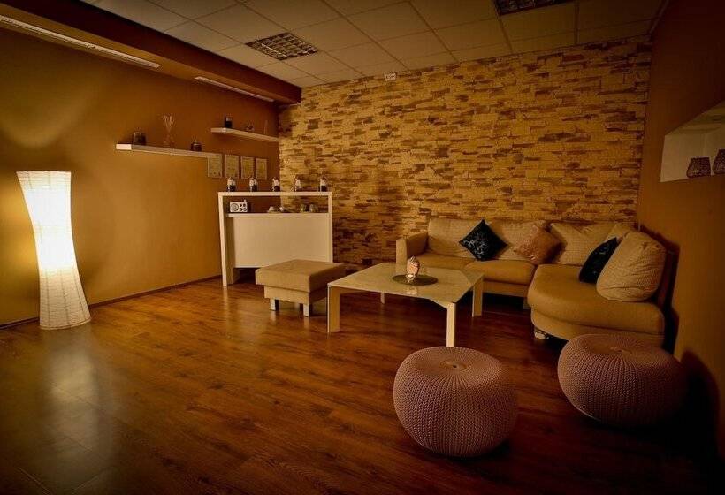 Lh Hotel Dvořák Tábor Congress & Wellness