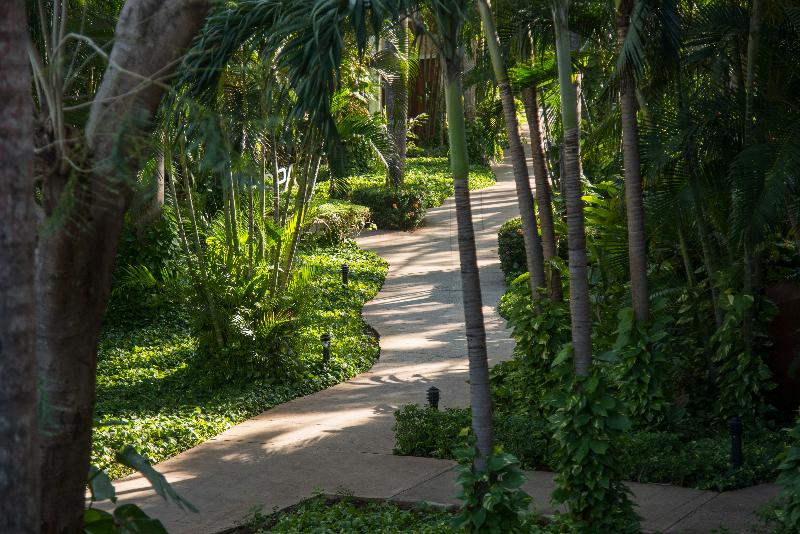 هتل Occidental Tamarindo All Inclusive