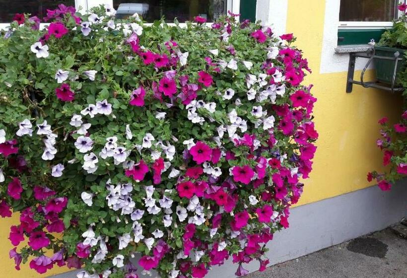 ユースホステル Fischgasthof Aumüller