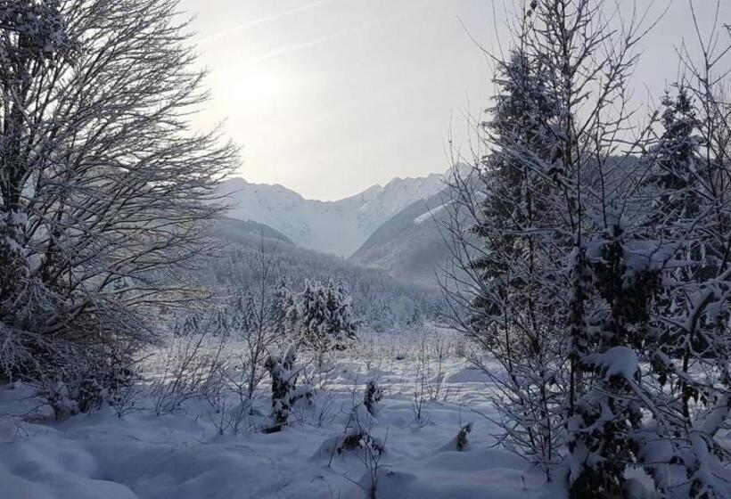 בית מלון כפרי Casa Bunicului