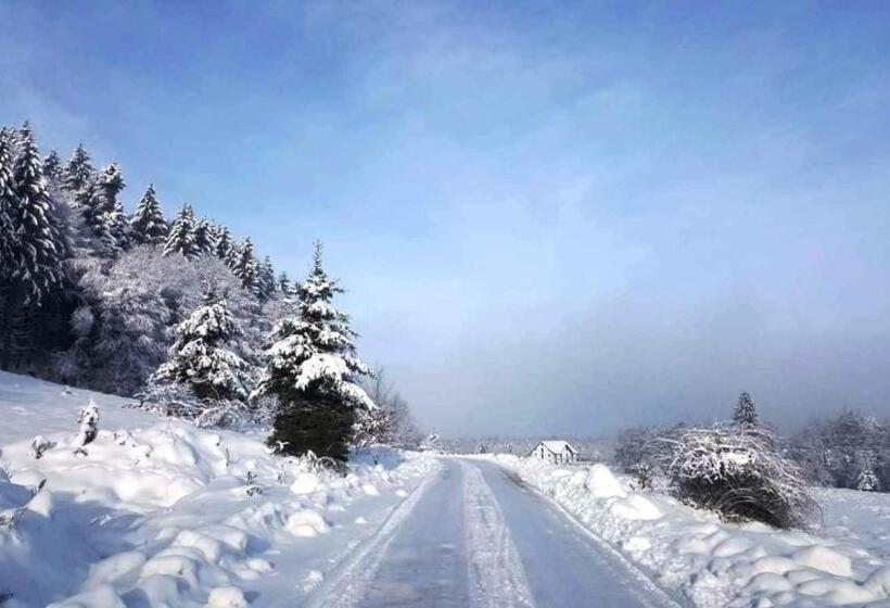 בית מלון כפרי Casa Bunicului