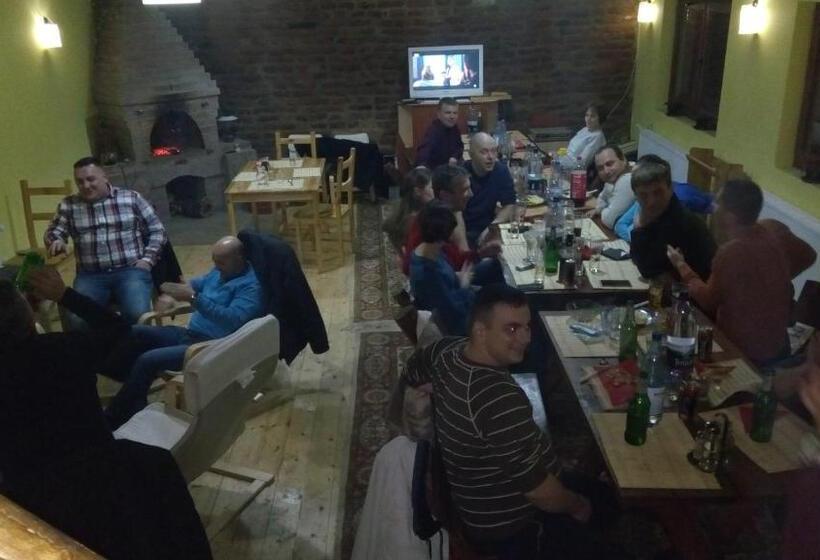 Pensiunea Leia Cârțișoara