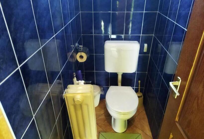 펜션 Szakál Vendégház