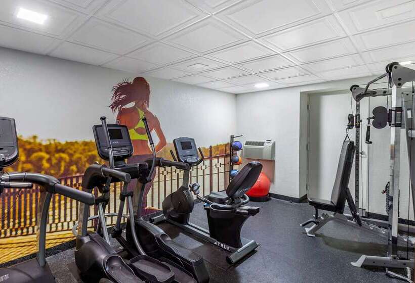 酒店 Clarion Pointe Racine  Mount Pleasant
