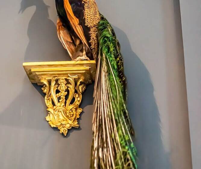 호텔 Melville Castle