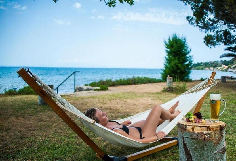 هتل Mimoza Beach