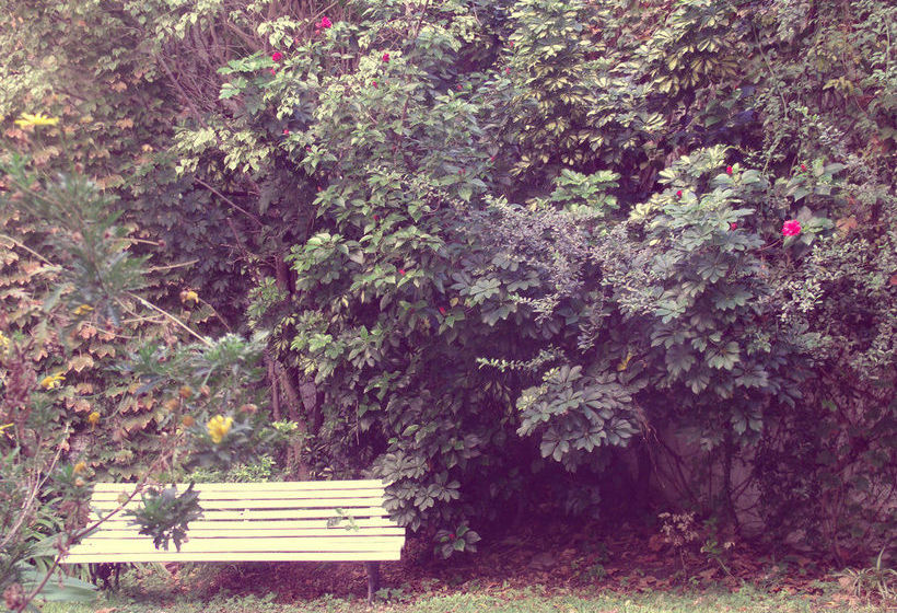 هتل Bohemia Buenos Aires