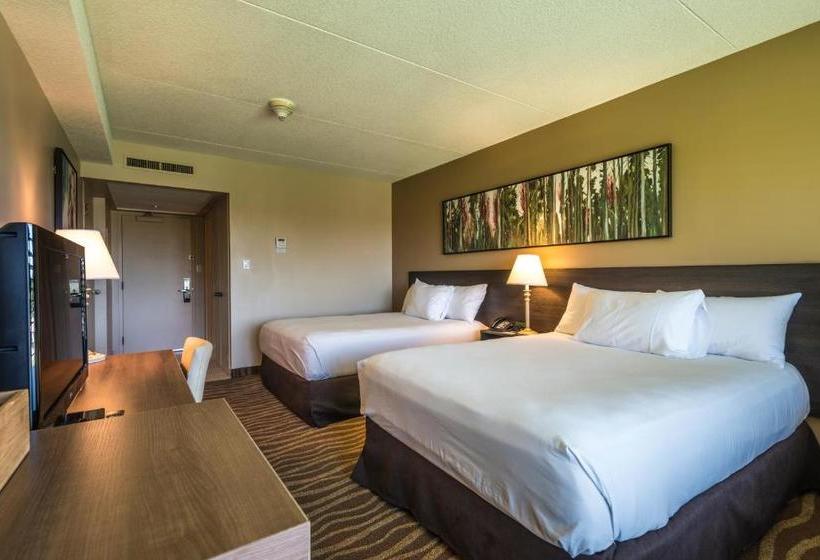 فندق Horseshoe Resort