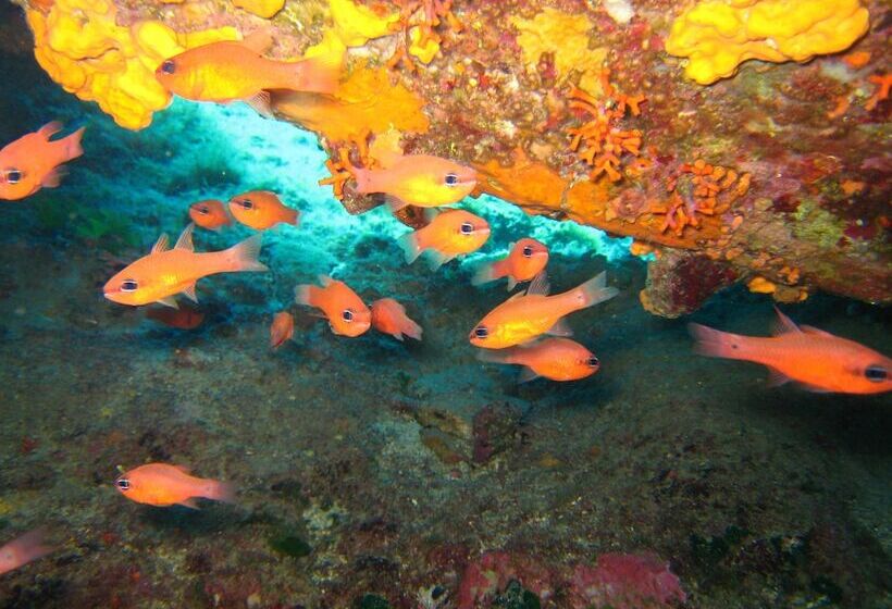 酒店 Nymphes Luxury Apartments