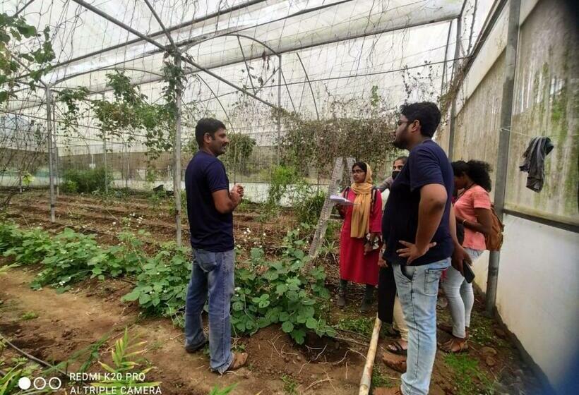 בית מלון כפרי Apka Ecovillage