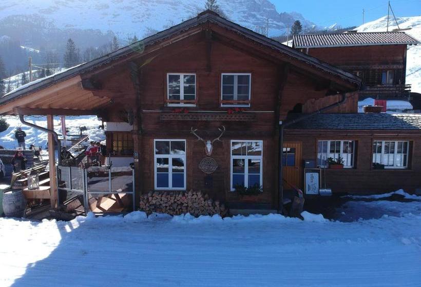 酒店 Jägerstübli Grindelwald