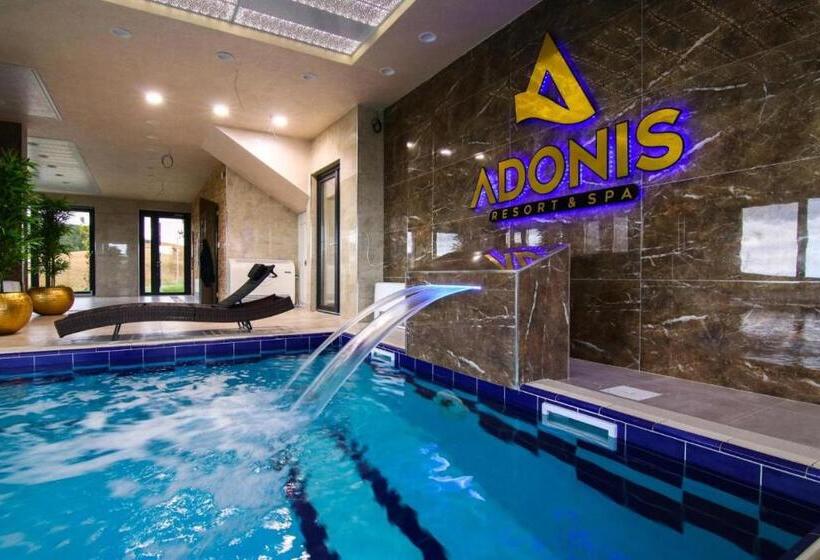 Adonis Dreams Zlatibor