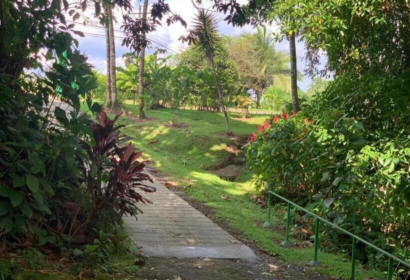 هتل Confort Arenal