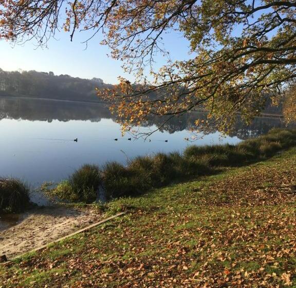 Bed and Breakfast Maison D'hôtes La Marie Pierre