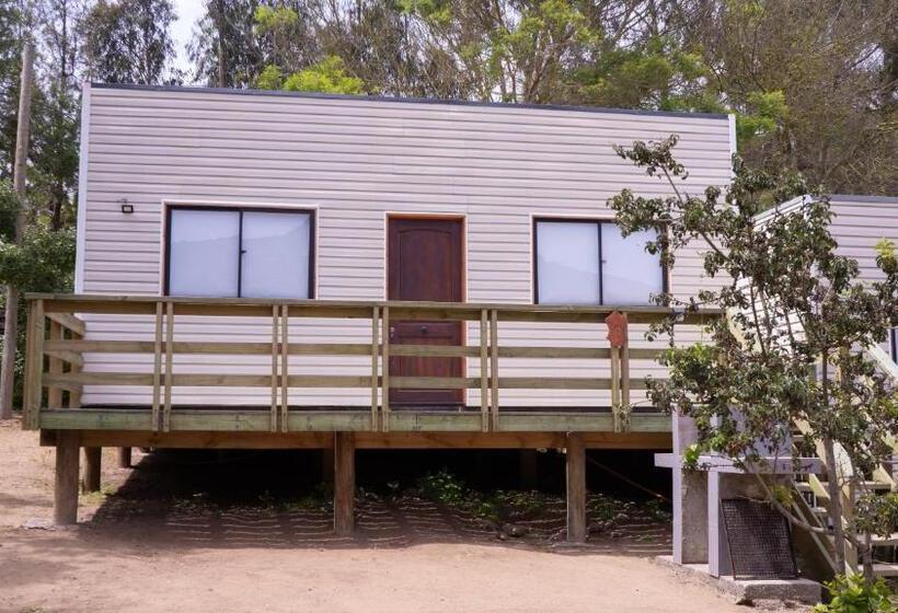 Cabañas Laguna De Zapallar Maitencillo