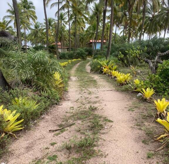 פנסיון Pousada Mar Dos Algodões   Praia De Algodões