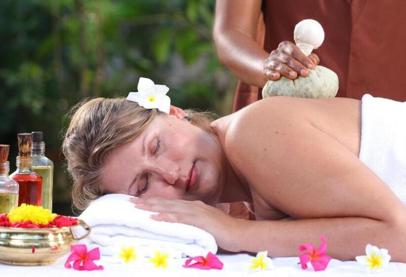 リゾートホテル Ayursoma Ayurveda Royal Retreat