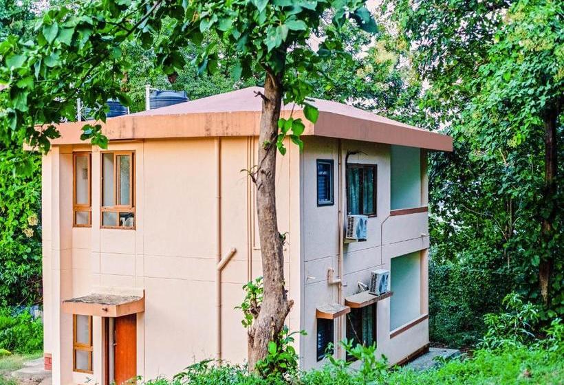 Sadashivgad Sea View Resort  Jungle Lodges