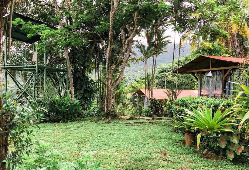 צימר Pacific Edge Eco Lodge