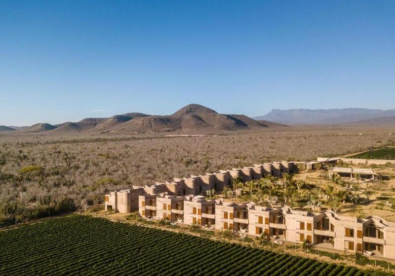 ホテル Paradero Todos Santos Exclusive Experiences Included