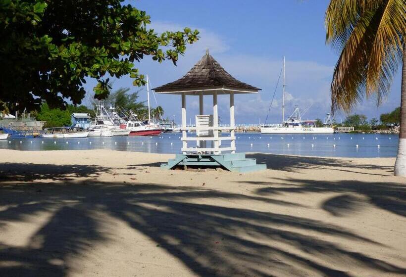 Beach Studio 10