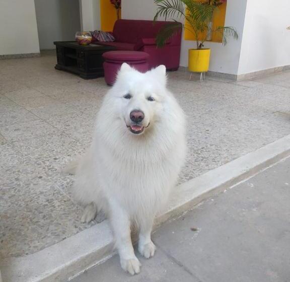 پانسیون Casa De Luna