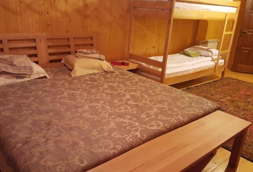 פנסיון Guest House In Carpathians