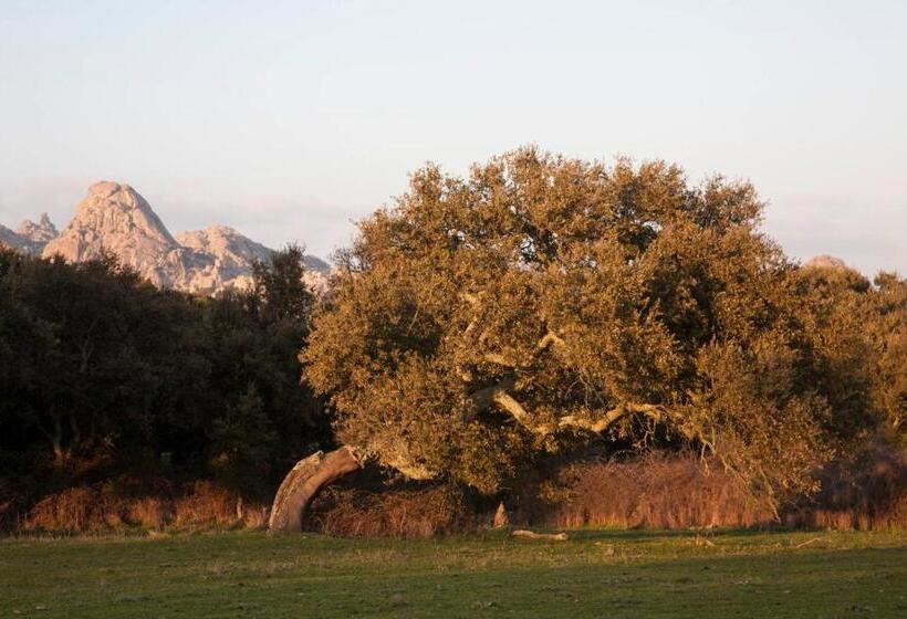 پانسیون Locanda Li Manni