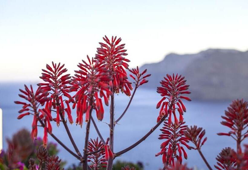 هتل Esperas Santorini