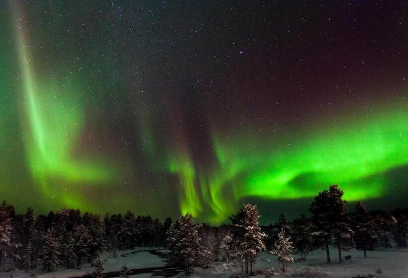 Kakslauttanen Arctic Resort   Igloos And Chalets