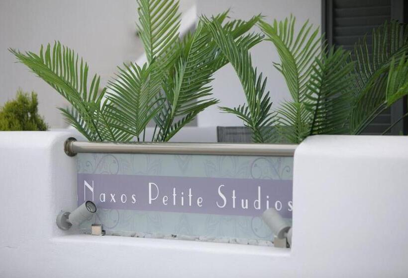 فندق Naxos Petite Studios