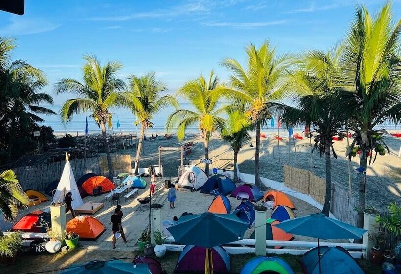 酒店 North Shores Inn