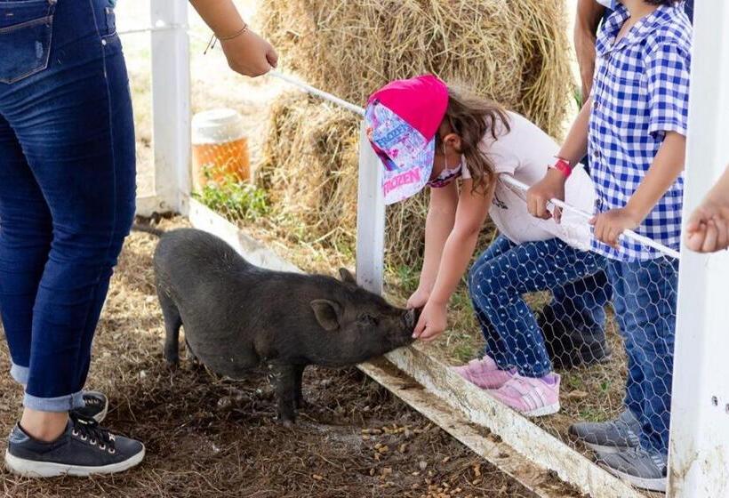 ベッドアンドブレックファースト Granja De Animales San Basilio De Palenque