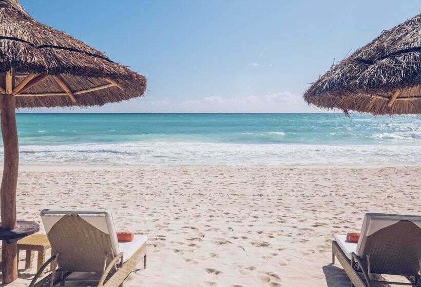 בית מלון כפרי JOIA Paraíso by Iberostar - Adults Only