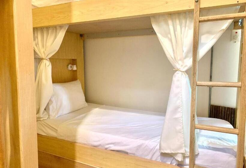 Hostel Boutique Musa Paradisiaca