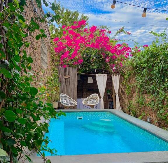 Hostel Boutique Musa Paradisiaca