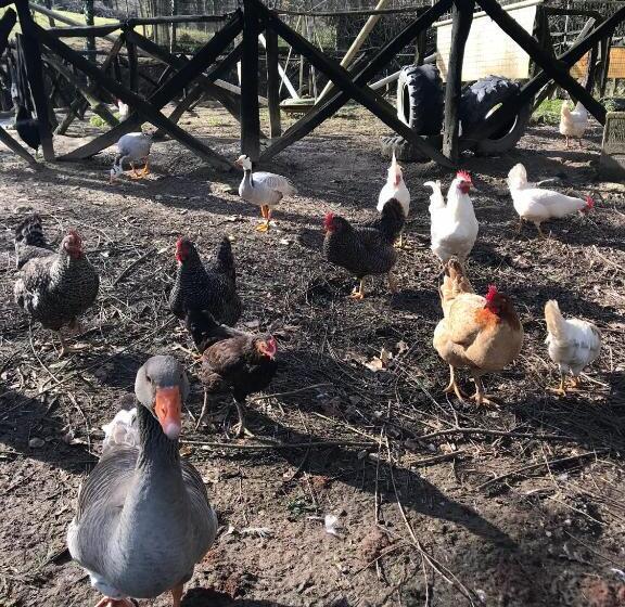 هتل Agroturismo Anziola