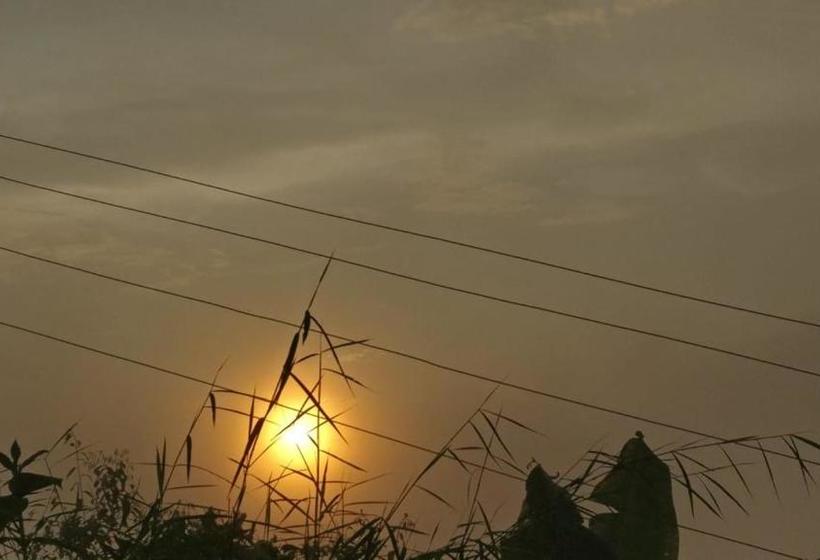 膳宿费 Valley View