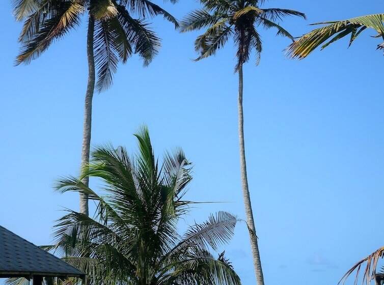 فندق Afro Beach Eco Resort Butre