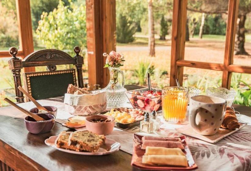 Linaje Hotel Boutique & Relax