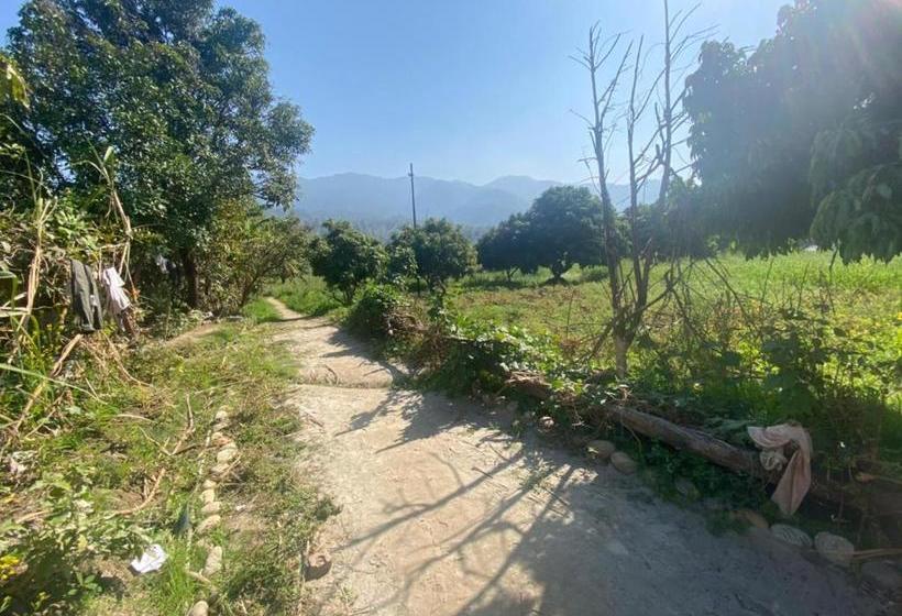 酒店 Lushy Days Boom Camp