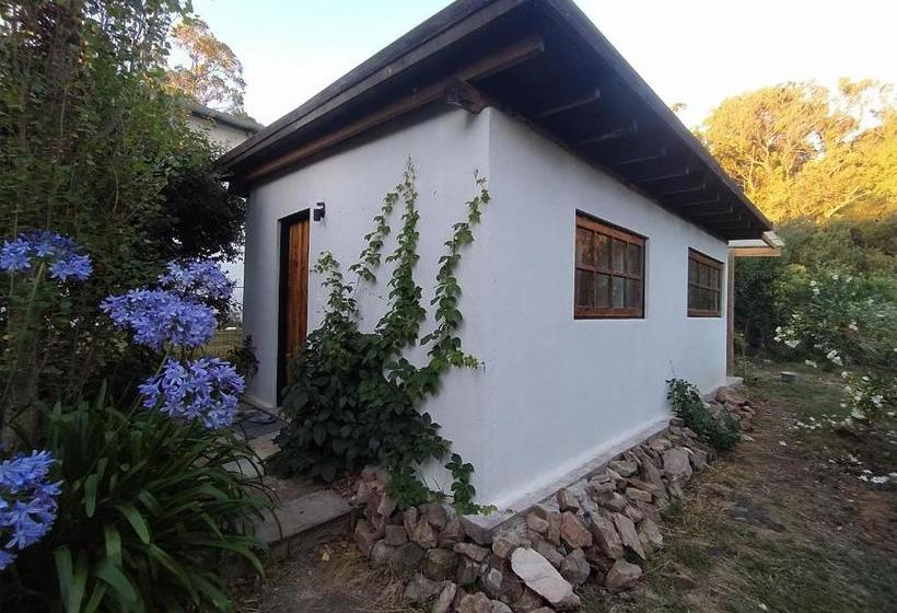 تختخواب و صبحانه Cálido Bungalow 1  La Locanda Casitas Vivas