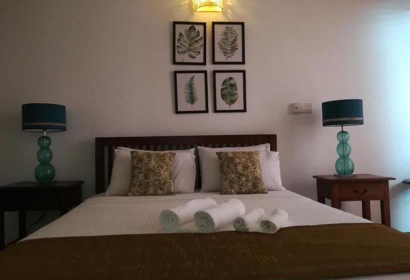 Bed and Breakfast Hill Residencies