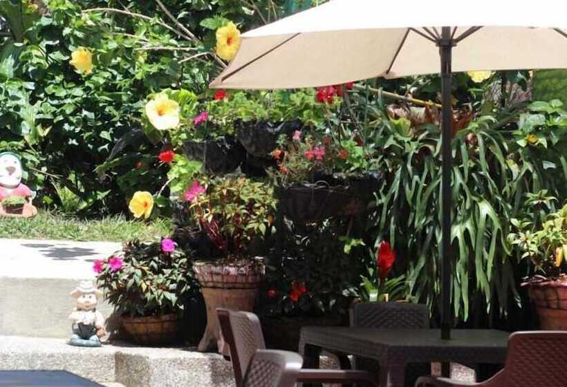 هاستل Aroma Cafetera