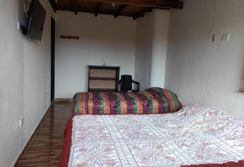 هاستل Aroma Cafetera